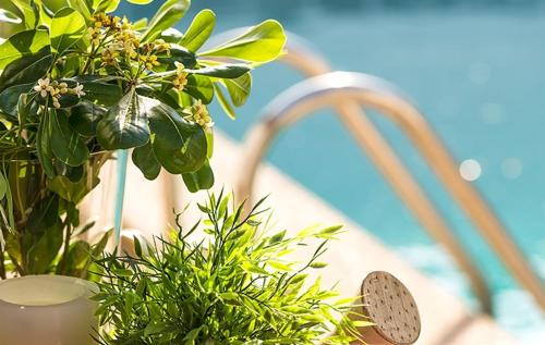 Los Yebenes House | La casona de los yebenes