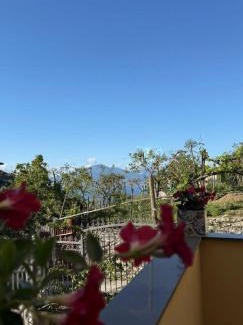 Meta Bed & Breakfast | La Culla di Minerva