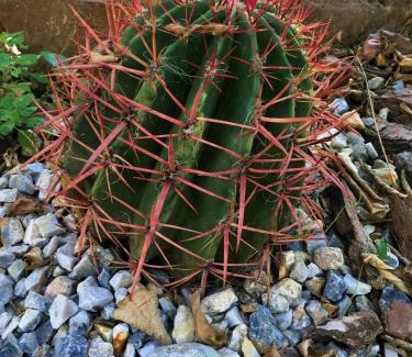 Restabal Hotel | La Despensa del Valle