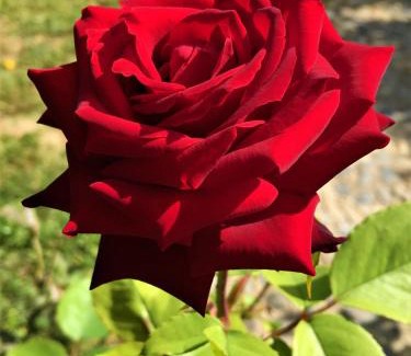 Restabal Hotel | La Despensa del Valle