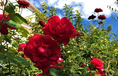 Restabal Hotel | La Despensa del Valle