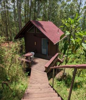 Jardin Cabin | La Esperanza bird Lodge and Reserve