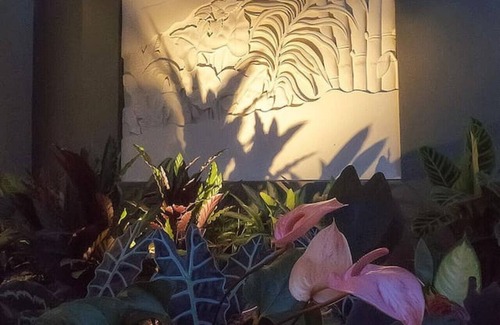 Ballena House | La Experiencia CR - · OCEAN VIEW PRIVATE BEACH ACCESS AND 2 POOLS WE HAVE IT ALL