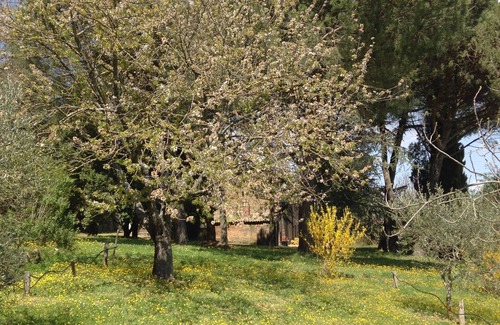Acquapendente House | La Falconiera, old farm, 6 to 12 p