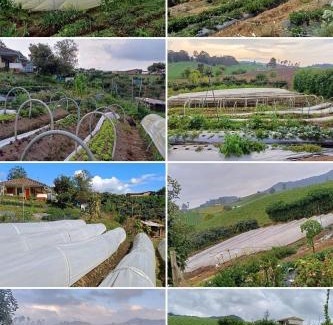 La Union de Sucre House | La jinquita