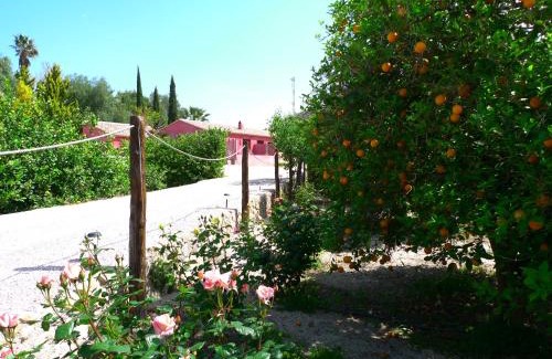 Villanueva Del Rio Segura Apartment | La Joya del Valle de Ricote