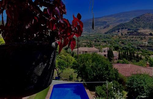 Chite House | La Kamareta de Chite