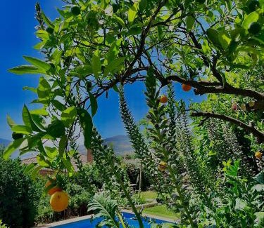 Chite House | La Kamareta de Chite