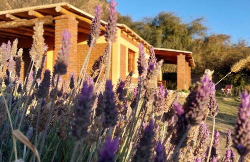 Province of Catamarca Ski Chalet | La Killuna