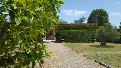 Oltrarno Villa | la limonaia