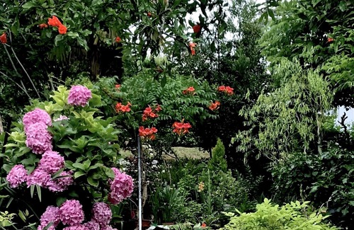 Eymet House | La Maison Ancienne EYMET, Beautiful B&B Dordogne ~ nearest airport Bergerac