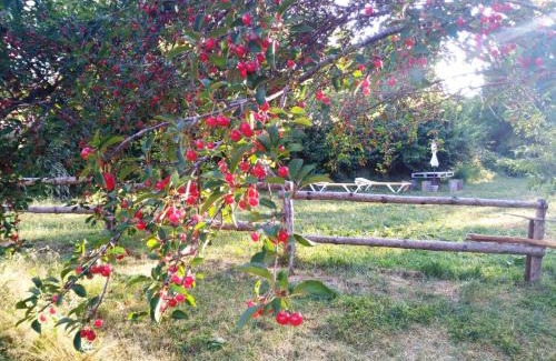 Paterna del Madera House | La María de Tortas