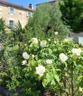 Soulignonne Bed & Breakfast | LA MESONNETTA