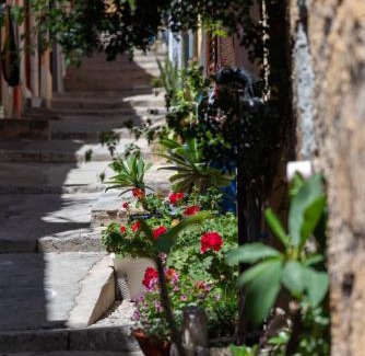 Termini Imerese House | La mia deliziosa Casetta di giù