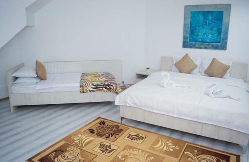 Calimanesti Apartment | La Mircica