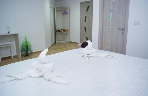 Calimanesti Apartment | La Mircica