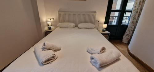 Cimadevilla Apartment | La Pandiella de Cimadevilla - VUT-4865-AS