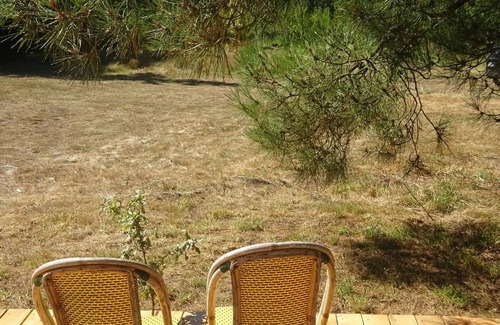 Ploermel Ski Chalet | La pause Tiny: green relaxation in Morbihan