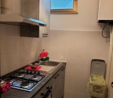 Pisa Apartment | La Peonia