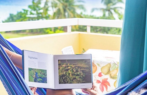 Bas du Fort Apartment | La Perle Fleur D'epée ★