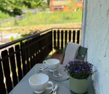 Pieve di Cadore Apartment | La Piccola Noghera