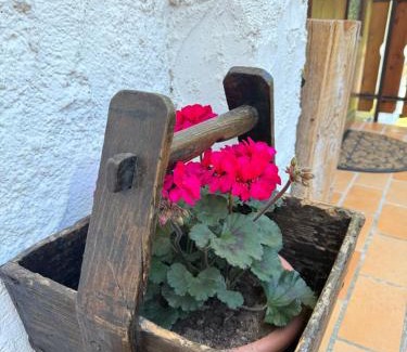 Pieve di Cadore Apartment | La Piccola Noghera