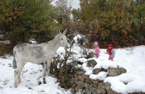 Cabezas Bajas Apartment | La Quinta Del Chocolatero