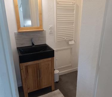 Montauban-de-Bretagne Apartment | La Ribaudière Castle