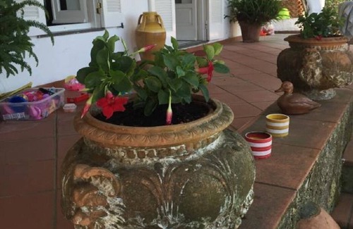 Marina Piccola House | La Serenita