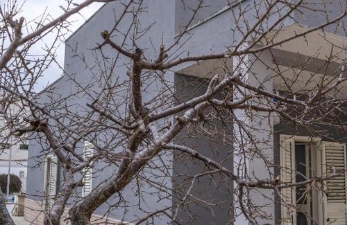 Otranto House | La Talega