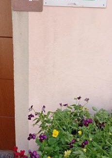 Albate Bed & Breakfast | La Tegola