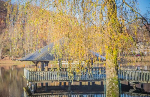 Vielsalm Apartment | La Terrasse du Lac
