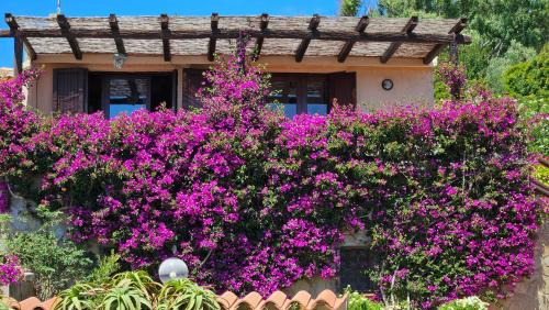 Villaggio Piras House | LA TERRAZZA SUL MARE - panoramic cottage overlooking sea and Caprera island in a quiet residential area - 150 mt from the sea