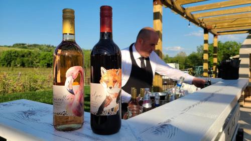 Gambassi Terme House | La Torre sulla via Francigena