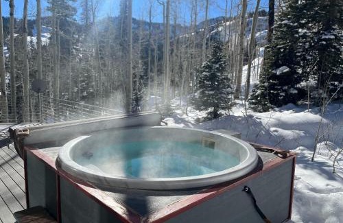 Salt Lake Mountain Resorts House | La Vista