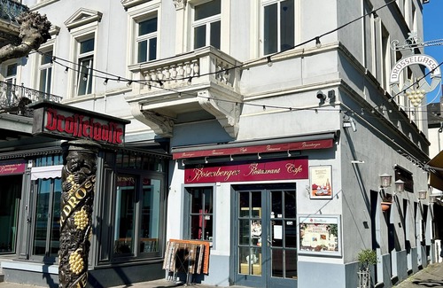 Mainz-Bingen Apartment | LaBed - Directly on Drosselgasse | Enjoy the wine region, old town & view of the Rhine