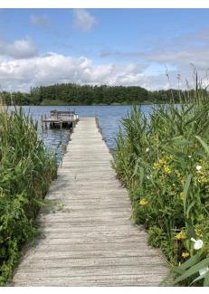 Bosau Apartment | Labud 25 am Plöner See in Bosau