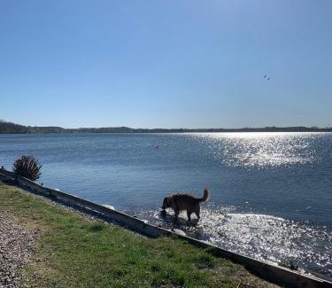 Bosau Apartment | Labud 25 am Plöner See in Bosau