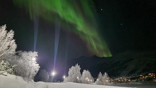 Sykkylven House | Ladebua