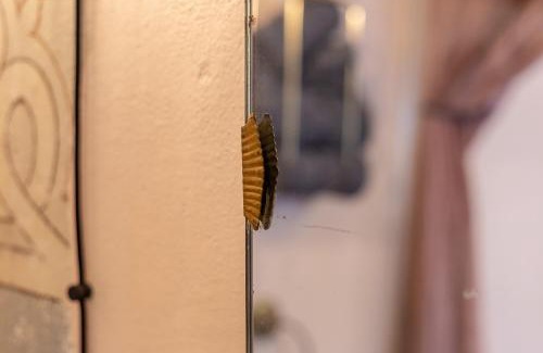 Province of Cagliari House | Ladiri - Antica dimora in terra cruda