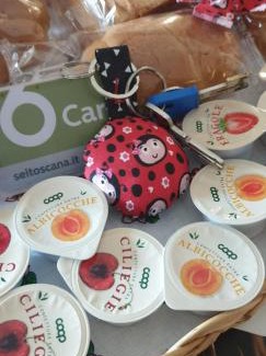 Poggibonsi Apartment | Ladybug Apartment
