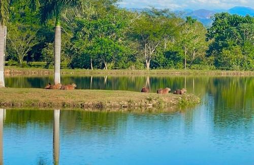 Yopal Other | Lagos de Mararay