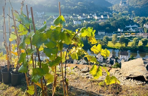 Rhein-Lahn-Kreis District Apartment | Lahnhöhen close to nature - two-room apartment, fireplace, garden, electric charging station