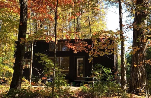 Addison Cabin | Lake Champlain Tiny House on Wooded Property with Private Beach/Lake Access