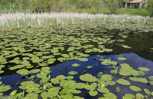 Zelbio Apartment | Lake Como holiday home