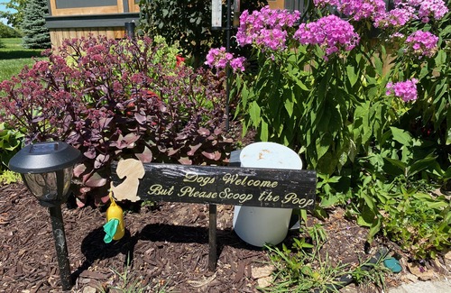 Leamington Cottage | Lake Erie's charming 4 season Lake Houz with BBQ, Fire Pit & more