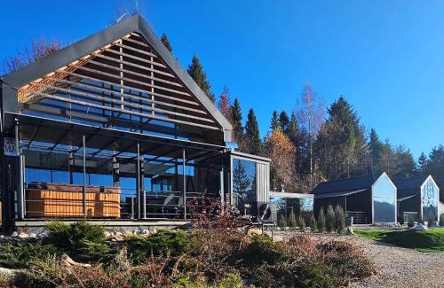 Dedinky Villa | Lake Forest Dedinky
