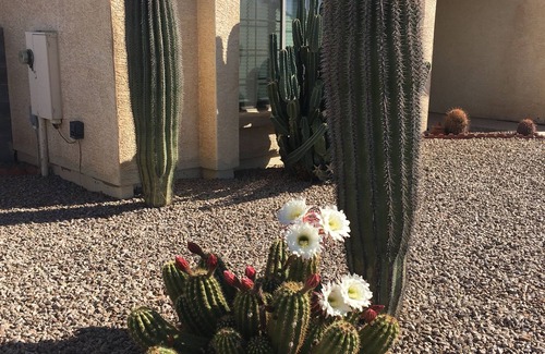 Arizona City House | Lake Front 4 Bedroom Snowbird Favorite- Close to Golf, Pickle Ball & Skydiving!
