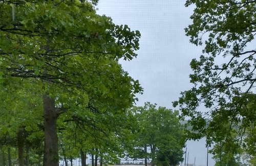 Oakland Resort | Lake front cabin on Bull Shoal Lake