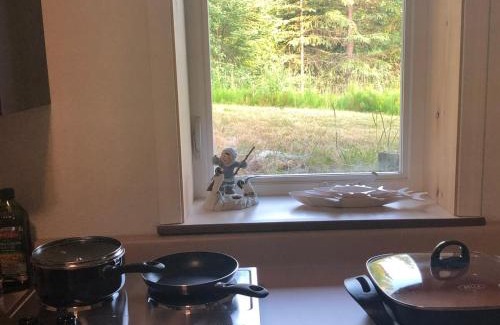 Kalifornsky Apartment | LAKE FRONT fishing between Kasilof & Kenai river